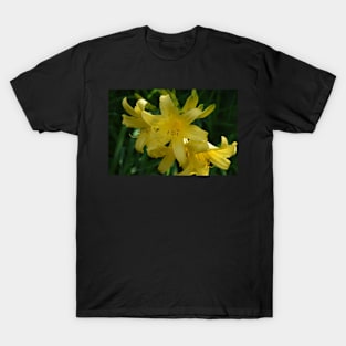 Flowers Blooming. T-Shirt